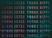 pierdas nuevo sencillo Young Bippo