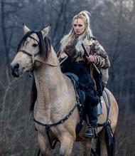 BookTag 36: Rip it o Ship it BookTag 36: Rip it o Ship it