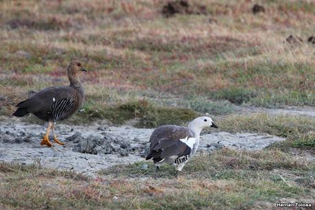 Río Gallegos (febrero 2022)