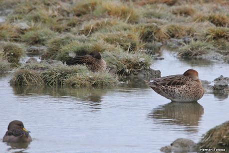 Río Gallegos (febrero 2022)