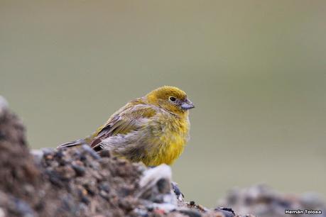 Río Gallegos (febrero 2022)