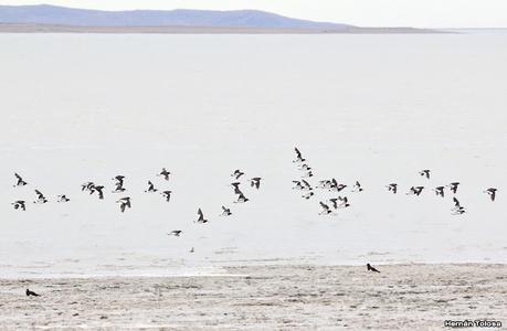 Río Gallegos (febrero 2022)