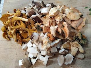 SETAS Y LANGOSTINOS CON SALSA DE COÑAC