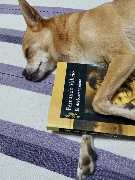 LO QUE PASÓ, PASÓ, Y YA LO CONTÉ EN OTRO LIBRO