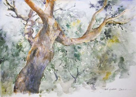 Árboles, lirios y paisajes Árboles, lirios y paisajes