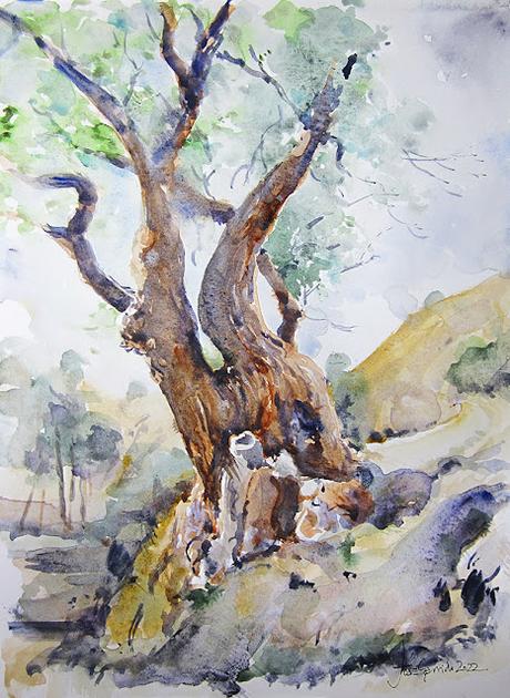 Árboles, lirios y paisajes Árboles, lirios y paisajes