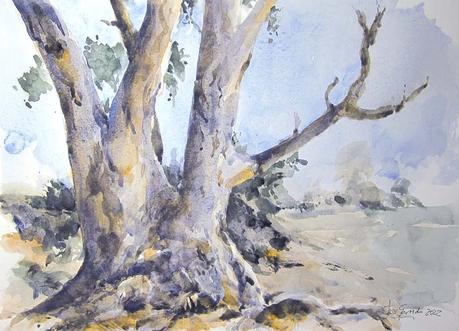 Árboles, lirios y paisajes Árboles, lirios y paisajes