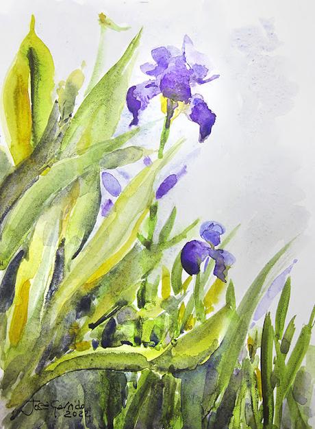 Árboles, lirios y paisajes Árboles, lirios y paisajes