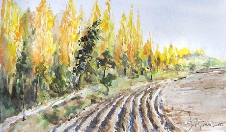 Árboles, lirios y paisajes Árboles, lirios y paisajes