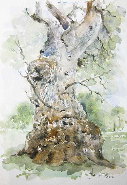 Árboles, lirios y paisajes Árboles, lirios y paisajes