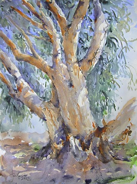 Árboles, lirios y paisajes Árboles, lirios y paisajes