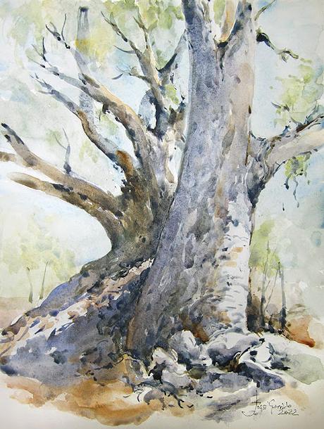 Árboles, lirios y paisajes Árboles, lirios y paisajes