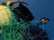 pesqueros abandonan tanto sedal 'asesino' como para vueltas mundo.