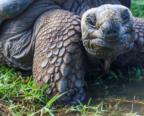 Destinos posibles para una Navidad diferente. Parte 1 Destinos posibles para una Navidad diferente. Parte 1