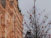 Destinos posibles para Navidad diferente. Parte