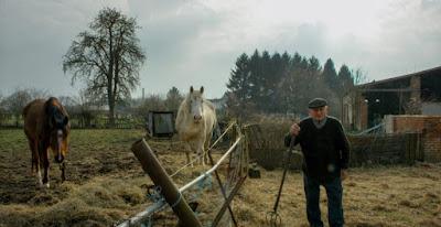 EXCESS WILL SAVE US (Suecia, 2022) Comedia EXCESS WILL SAVE US (Suecia, 2022) Comedia