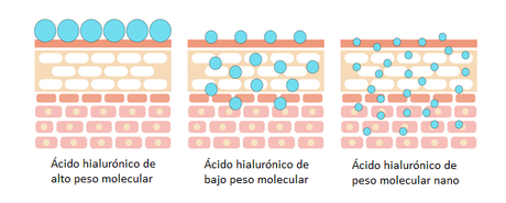 ¿Cuántos tipos de Ácido hialurónico existen? ¿Y para qué sirve cada uno?