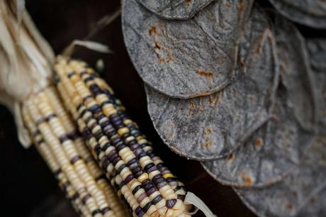 Maíz Maya es un taller de productos mexicanos que fabrica tortillas de maíz