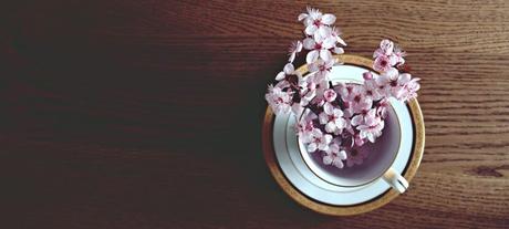 IKIGAI: La razón de ser IKIGAI: La razón de ser