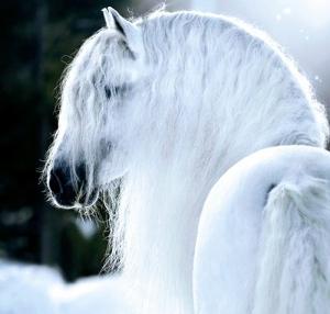 Primer Vistazo: #ProyectoAmanecer