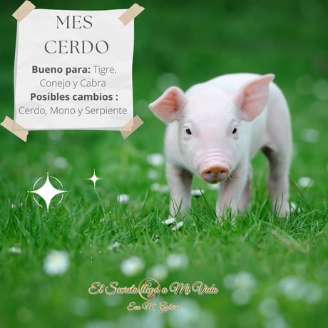 Mes del Cerdo de Metal noviembre 2022