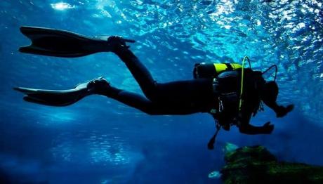 La guía definitiva para practicar buceo en Menorca por primera vez
