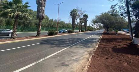 Nueva cara de la avenida Fray Diego de la Magdalena, se sumará al proyecto de movilidad Red Metro