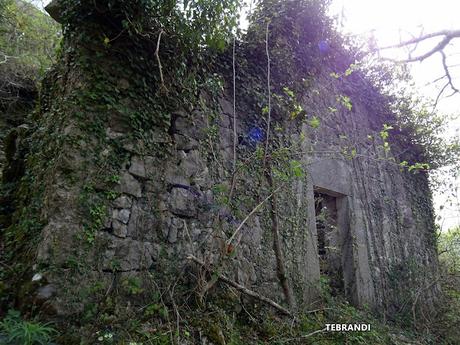 Por el valle Carnedes