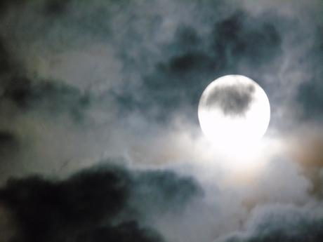 Exluna de escarcha. Exluna de escarcha.