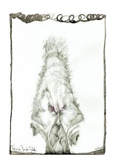 Mi propuesta de lectura de prensa para hoy jueves, 10 de noviembre