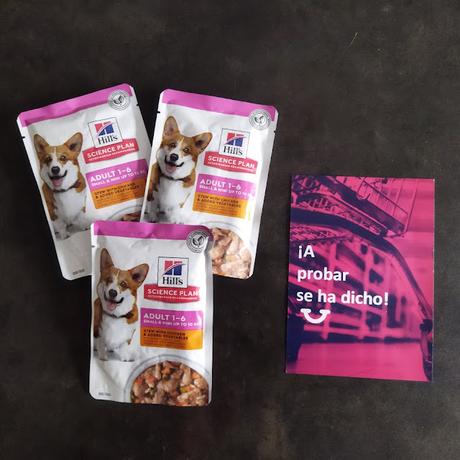 Probando Hill’s Science Plan estofado para perros
