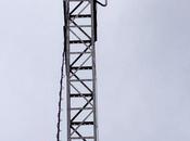 Dexastur Sanidad Ambiental retira nidos avispa asiática empresas privadas año.