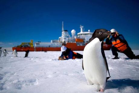 Exposición fotográfica celebra 60 años de relaciones diplomáticas entre Chile y la República de Corea