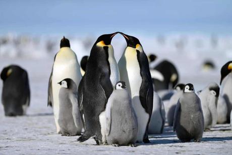 Exposición fotográfica celebra 60 años de relaciones diplomáticas entre Chile y la República de Corea