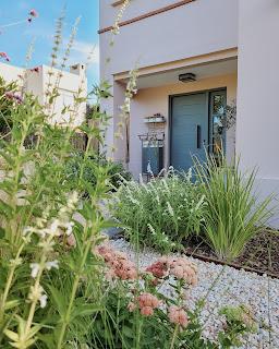 Jardín de Ingreso: una alegre bienvenida con nuevas plantas y flores