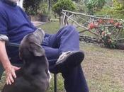 !Abajo Cadenas!, gritó Señor. nosotros: «¡Muera rey!», quien Bogotá irrespetó Libertador… Toma!