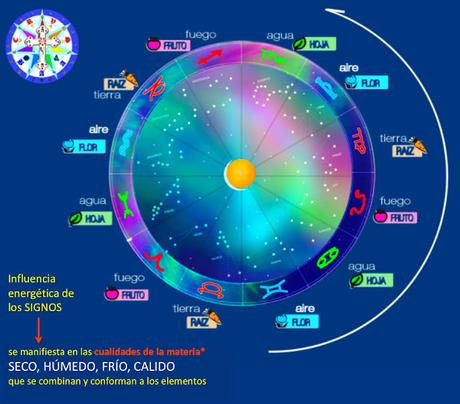 ¿Están las plantas bajo la influencias de los planetas y los signos?