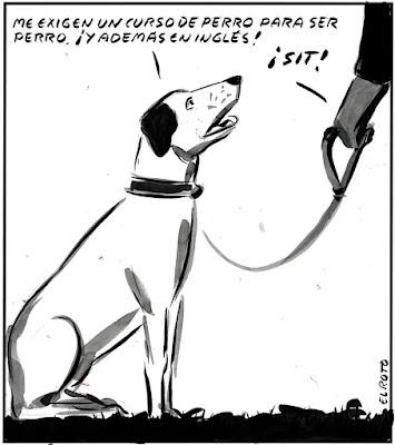 Grave crisis sanitaria, provocada por el Gobierno de Ayuso.