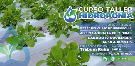 Finaliza el curso gratuito de Hidroponia con una clase abierta en Zapala