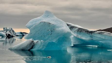 Top 10 cosas que hacer en Reikiavik