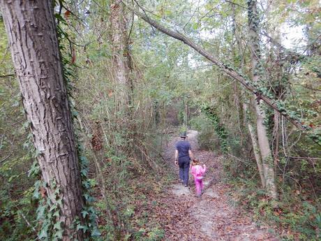 Sendero de bajada al riu Gurri Sendero de bajada al riu Gurri