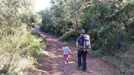 Sendero al Pla de la Castanyera