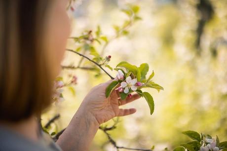 CONSEJOS DE TRAIL RUNNING DOROTHEA WIERER CON MANZANAS MARLENE®