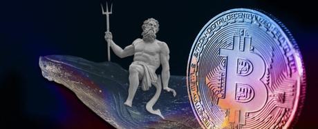 Acumulación de Bitcoin tras caída de FTX Acumulación de Bitcoin