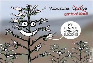 Mi propuesta de lectura de prensa para hoy martes, 15 de noviembre