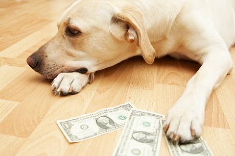 Dollar licks wounds in silent trading, EUR/GBP a focus of the week Dollar licks wounds in silent trading, EUR/GBP a focus of the week