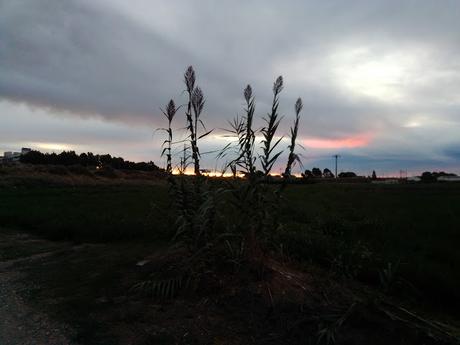 LLEIDA: CAMÌ DEL RIU