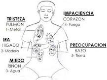 DE EMOCIONES Y SENTIMIENTOS...