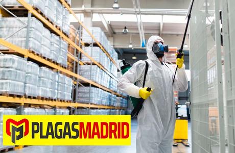 PLAGAS MADRID: ¿Cómo encontrar los mejores servicios de control de plagas?