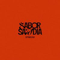 Supermeganada estrenan Sabor Sandía como nuevo adelanto de su disco